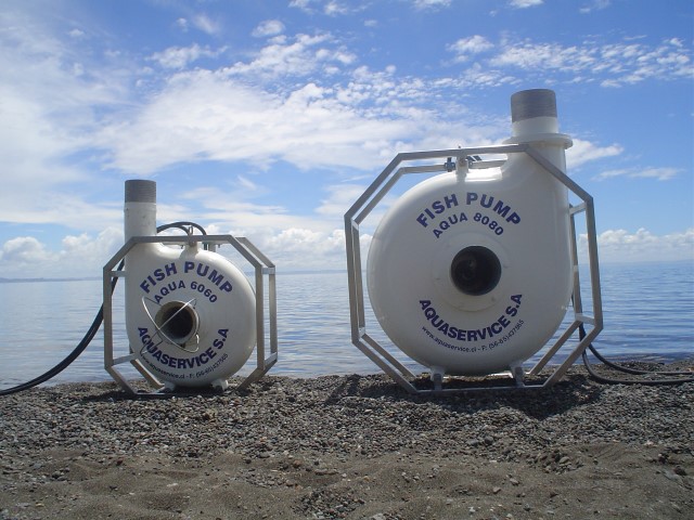 DSC00003 (Small)