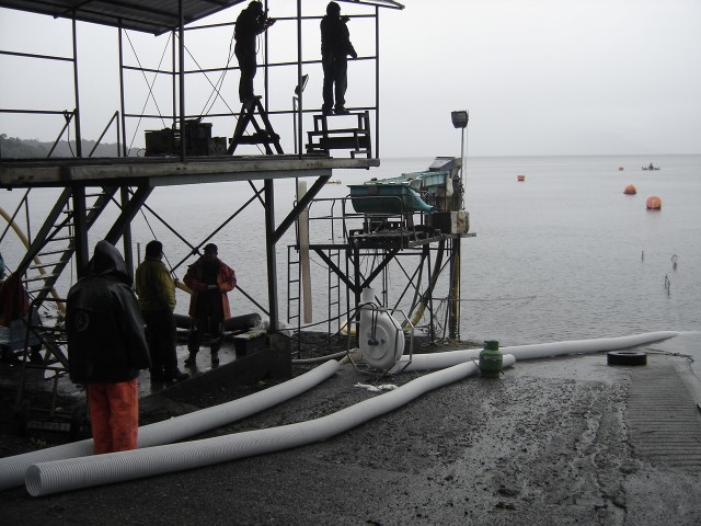 ulagos 016 (Small)